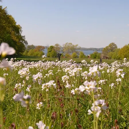 アパート Uklei *