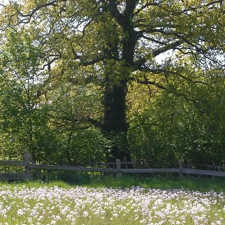 Uklei アパート *